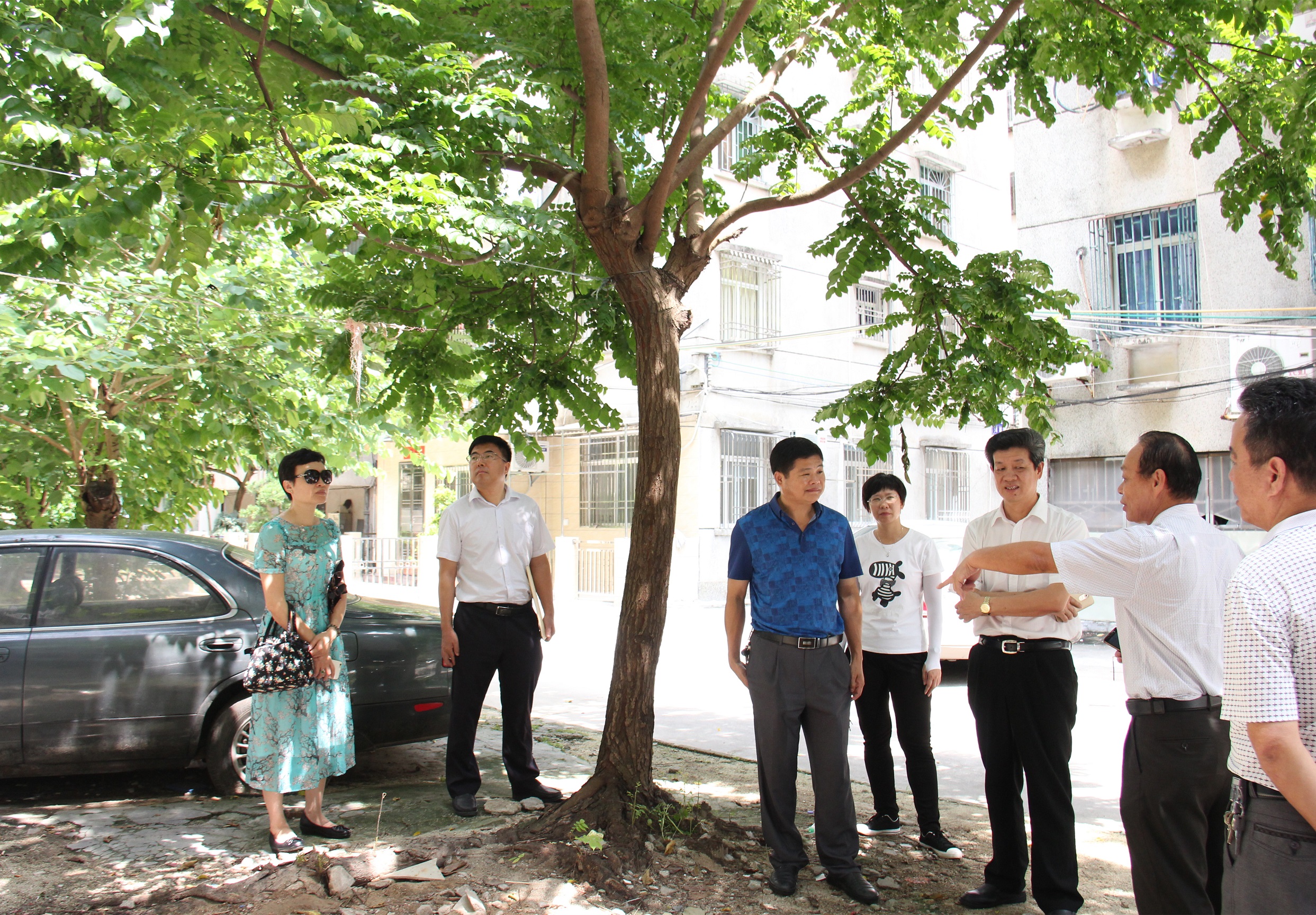 9月2日,联合检查僵尸车_副本1.jpg 9月2日,联合检查僵尸车_副本1.jpg