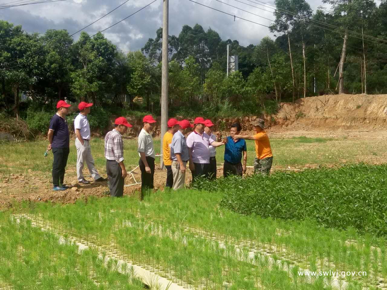 微信图片_20170703175635.jpg 微信图片_20170703175635.jpg