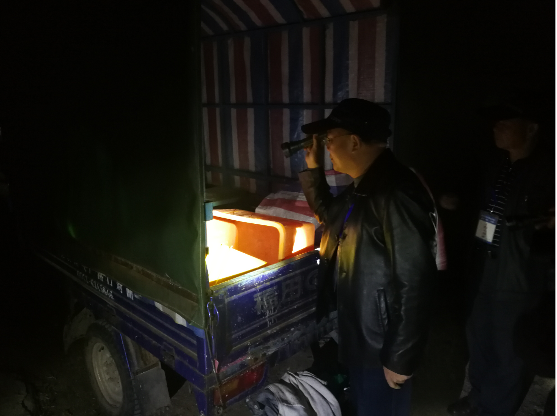 1546415232(1).png 1546415232(1).png