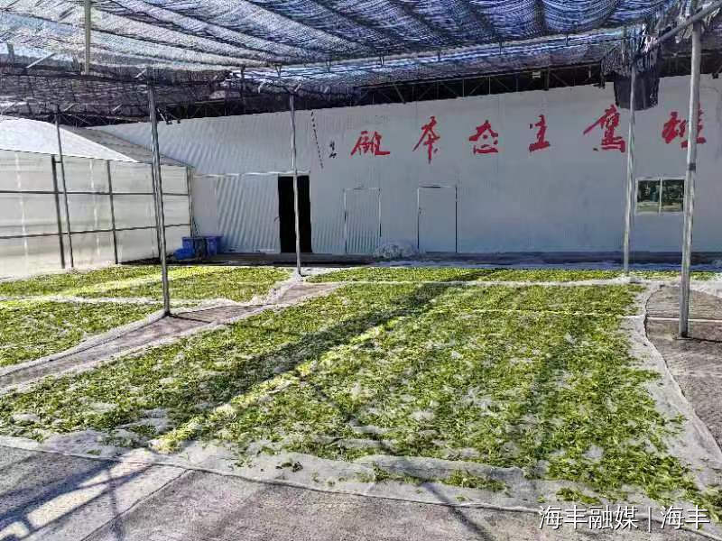 微信图片_20230201165929.jpg