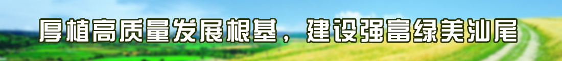 厚植高质量发展根基，建设强富绿美pc蛋蛋
