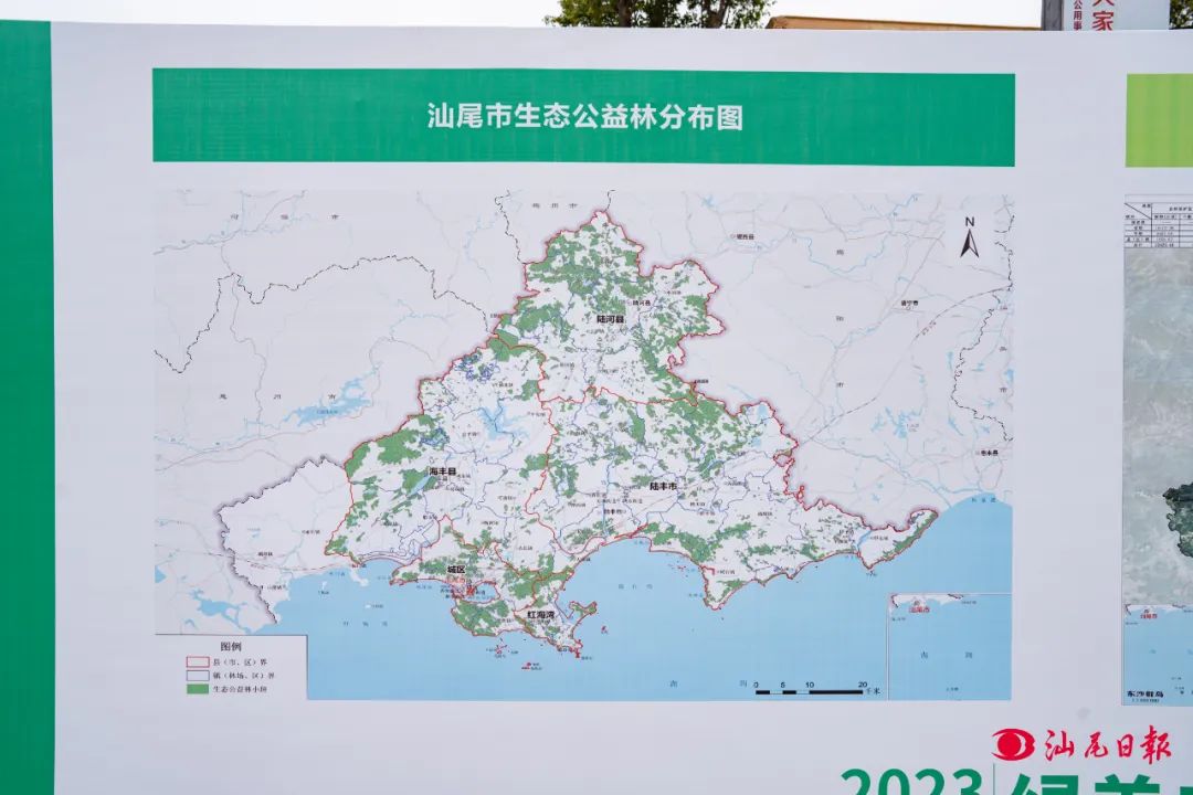 绿美2.jpg