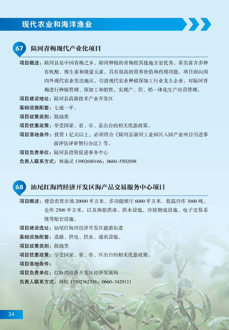 pc蛋蛋
招商项目40.jpg