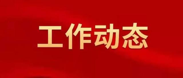 pc蛋蛋(中国)开奖记录查询站
政府召开全市规范涉企行政执法专项行动工作推进会