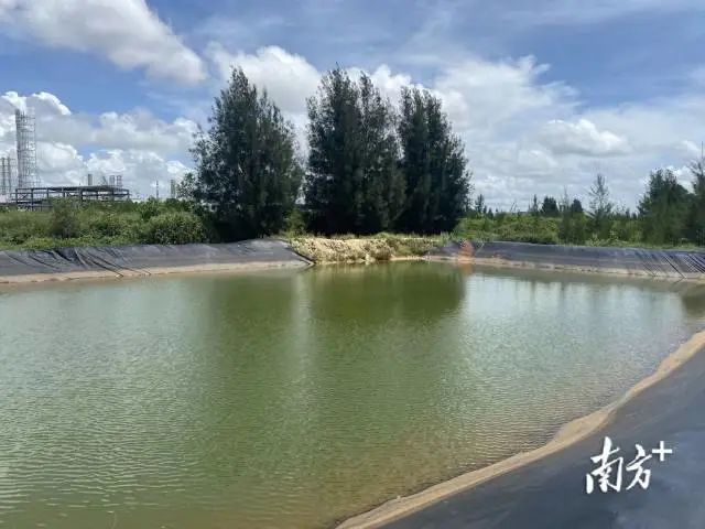 pc蛋蛋(中国)开奖记录查询站
国有东海岸林场。 图片