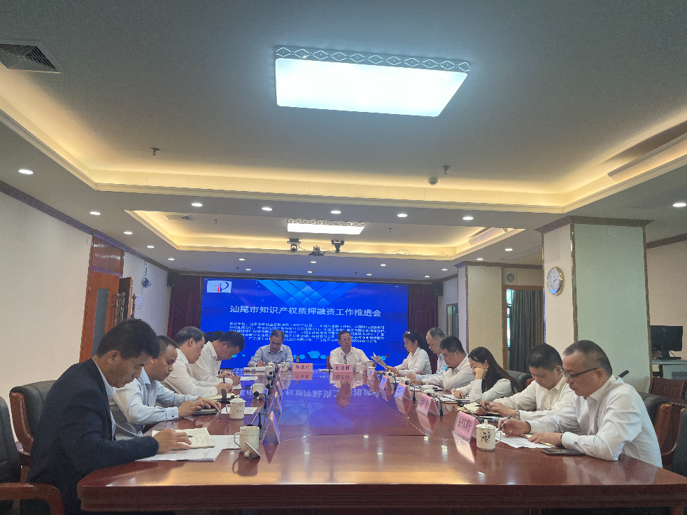 11.16市知识产权质押融资工作推进会.jpg