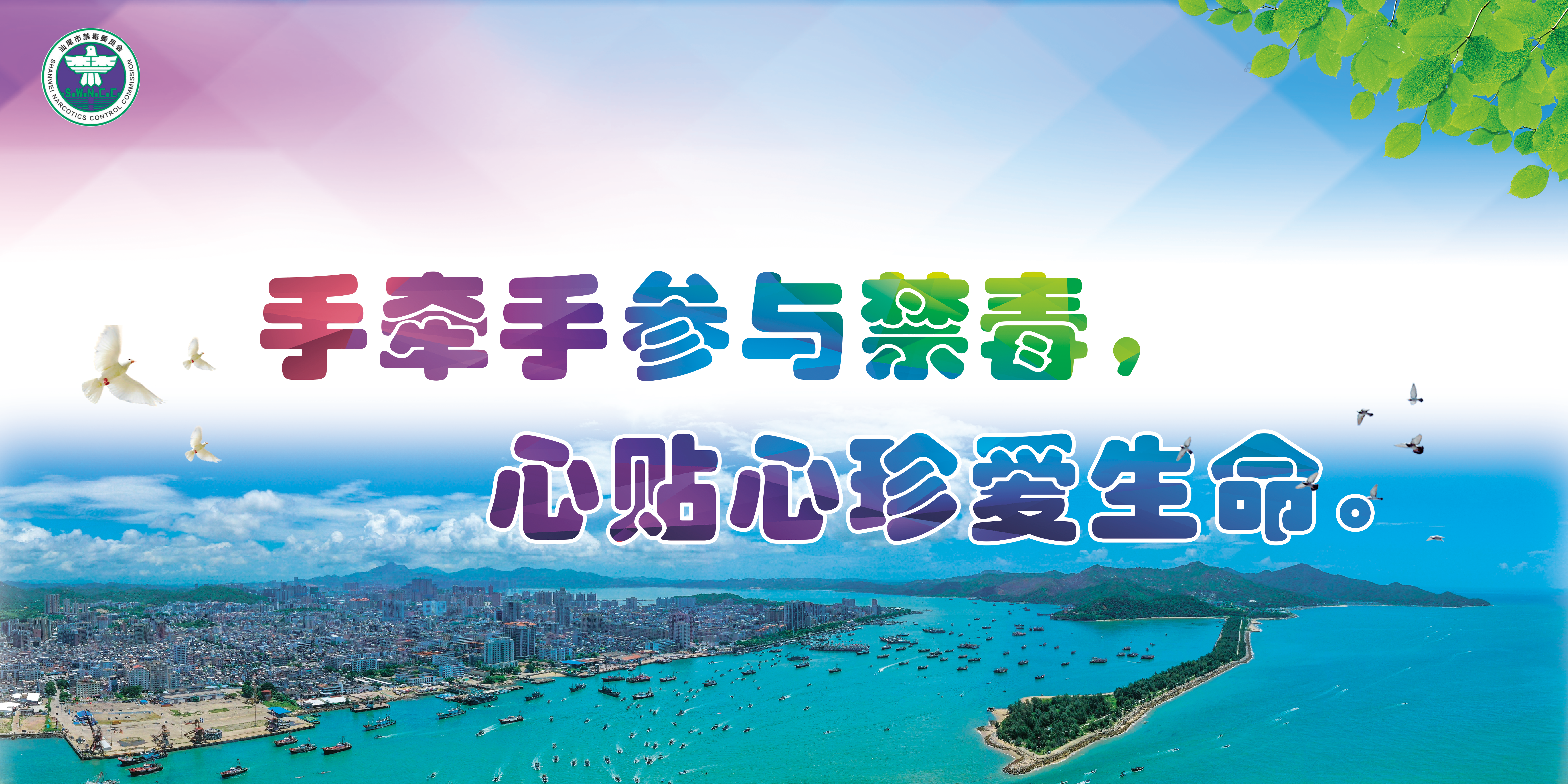 图片1(1).png