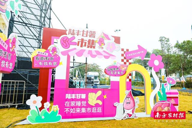 受访者供图