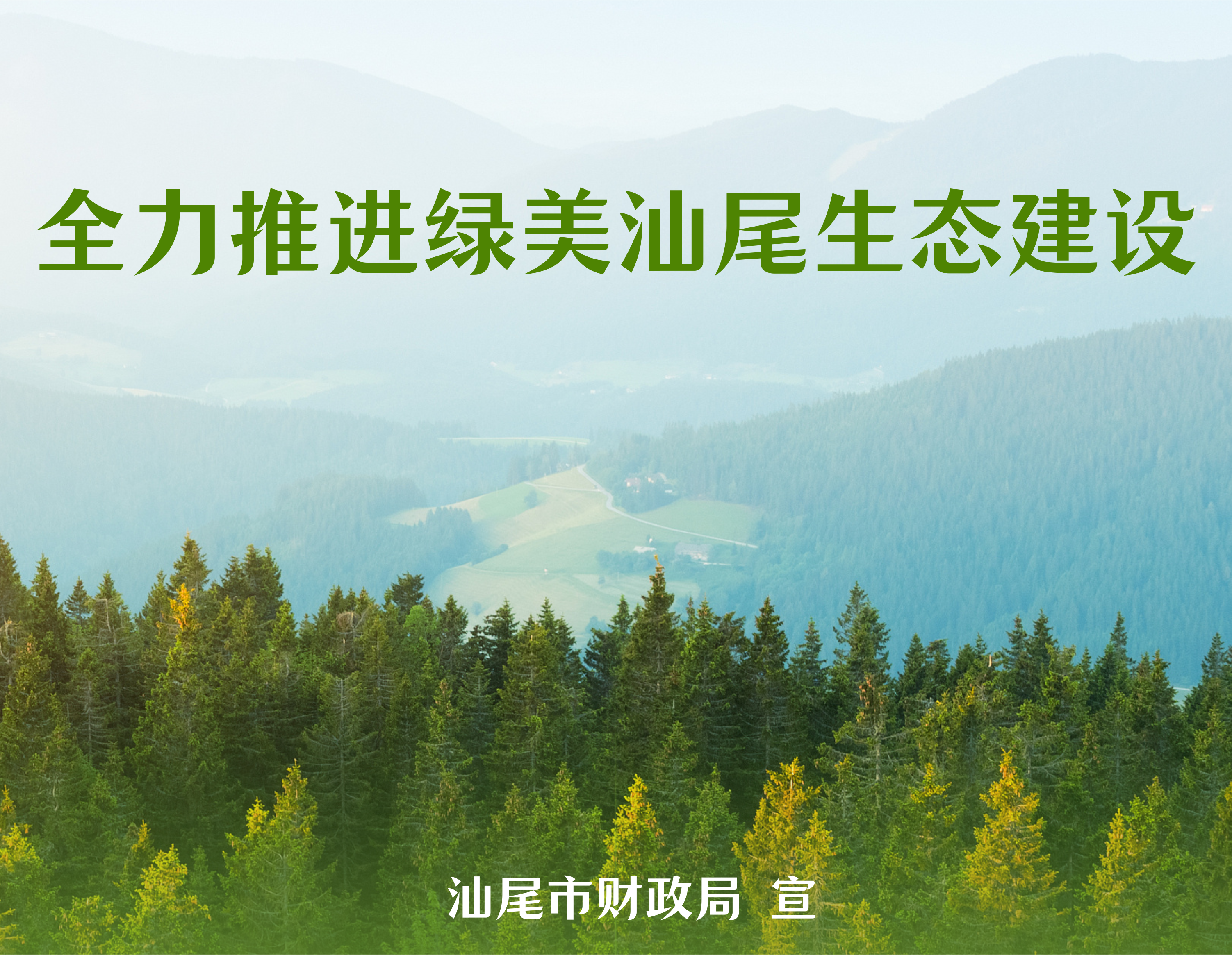 绿美pc蛋蛋
.png