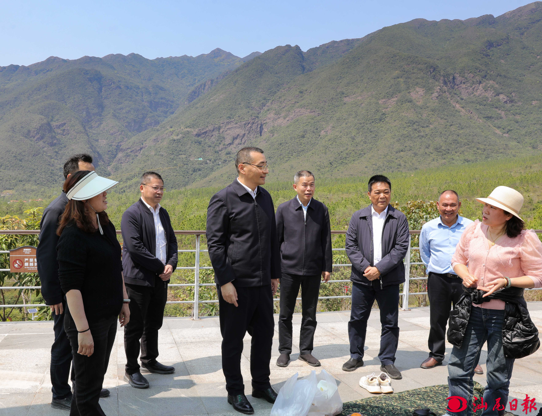 逯峰到海丰县和陆河县调研督导“百千万工程”、绿美pc蛋蛋
生态建设落实情况.png