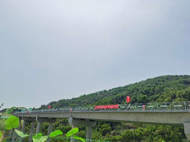 已编辑图片