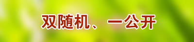 双随机、一公开