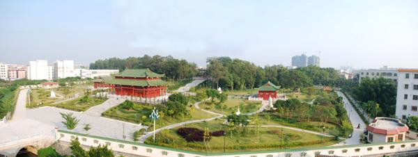 图片16.png