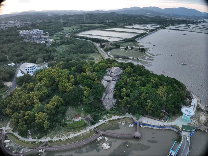 已编辑图片