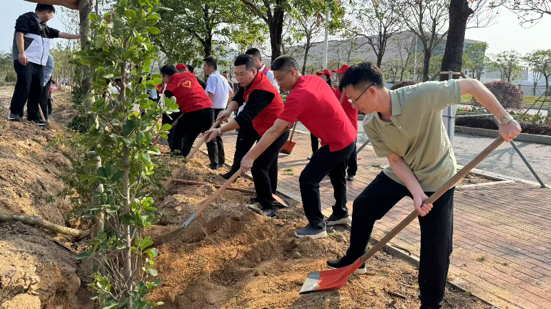 已编辑图片