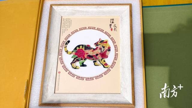    南方+ 陈保良 拍摄