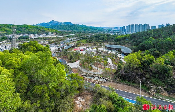 金霞光森林公园开园仪式暨2026年pc蛋蛋
新春民俗文化系列活动启动仪式举行 再添生态新地标 文旅融合加快升级