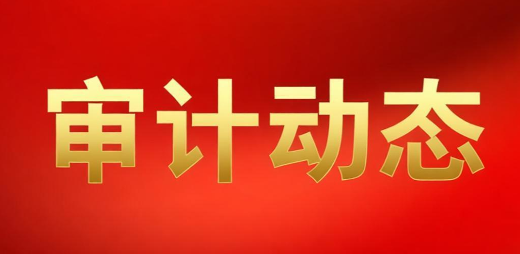 广东：围绕高质量发展首要任务 科学谋划2026年审计项目计划