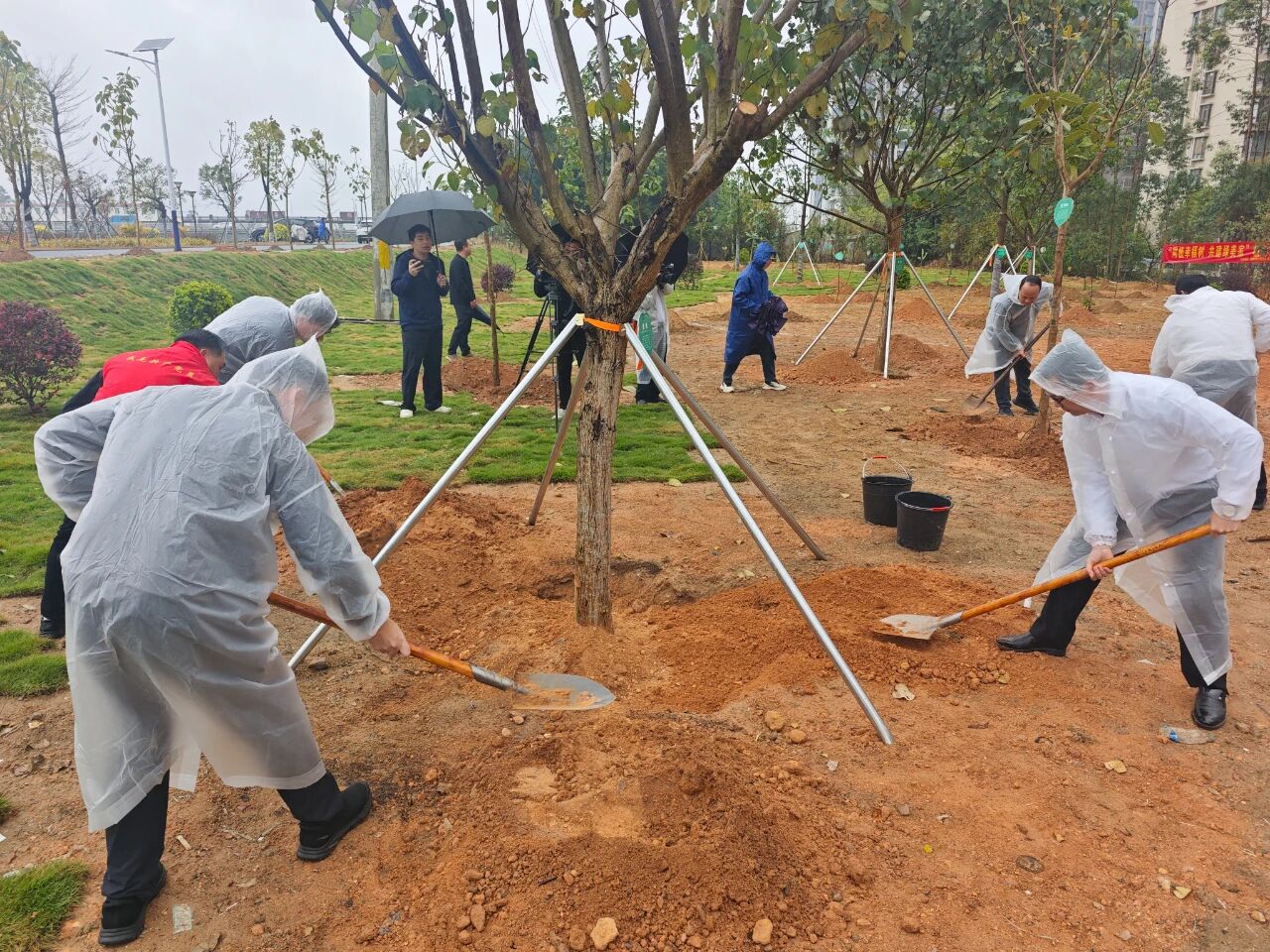 种下“集福树”、收获“生态福”、共享“宜居福”，陆丰市开展“集福树”全民义务植树活动