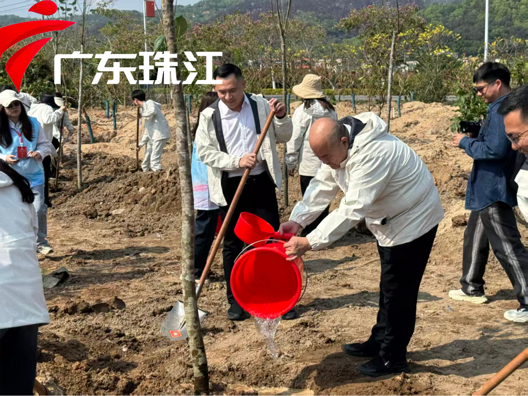 陆丰举办人才周首场活动“绿美pc蛋蛋
 人才先行”红色研学徒步——300名人才滨海 徒步共植“人才林”