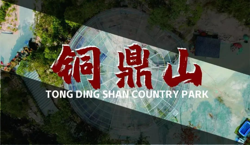 已编辑图片