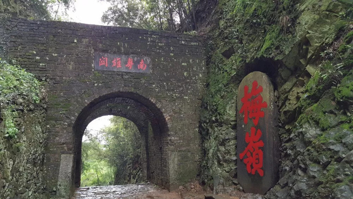 已编辑图片