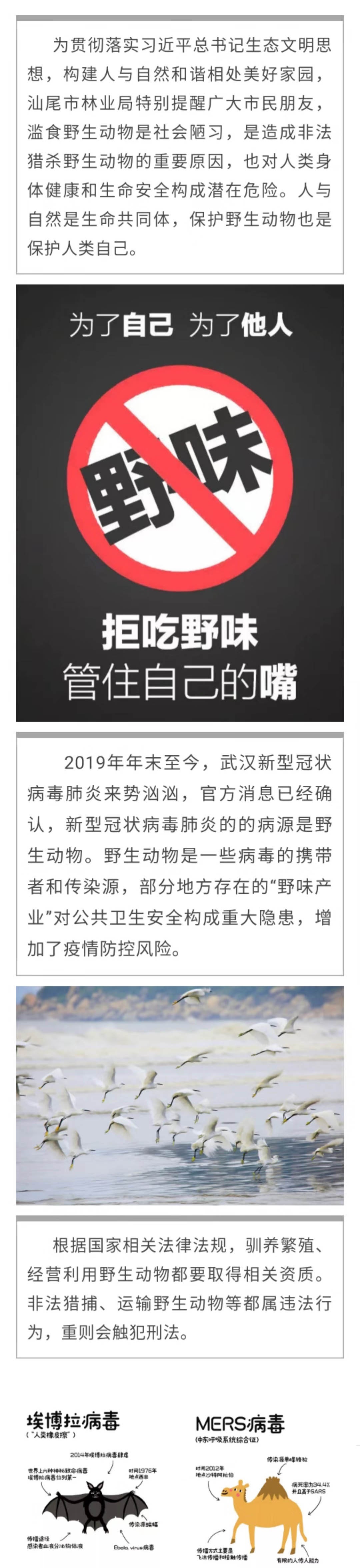 微信图片_20200201144742.jpg