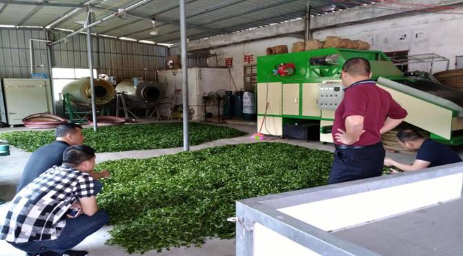 IMG_20180412_125948 IMG_20180412_125948